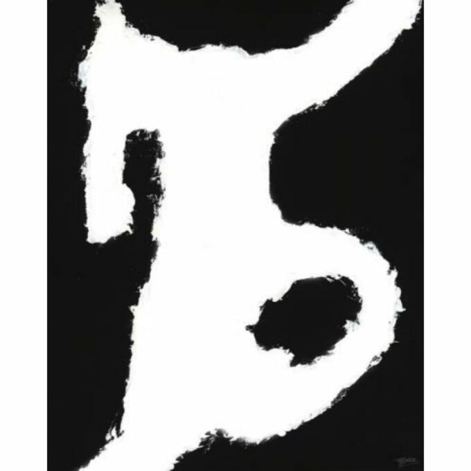 Il Vole II
