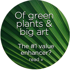 Of green plants & big art